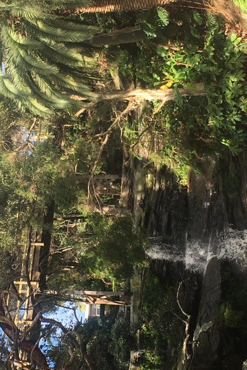 Kayak Fitness Manly Australia