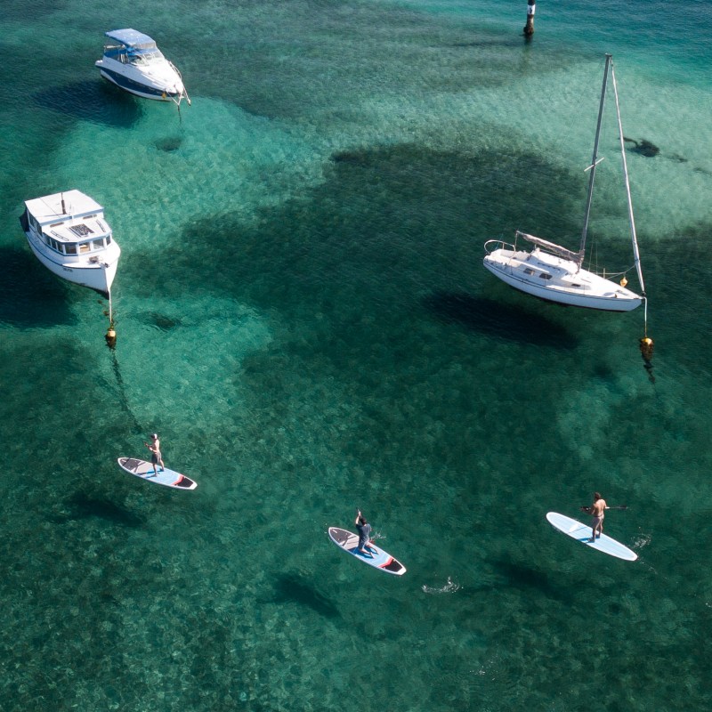 a group of people flying kites in a body of water